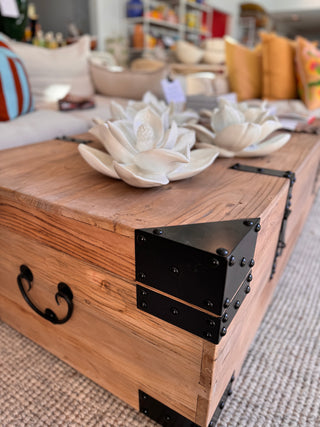 Elm and Iron Trunk