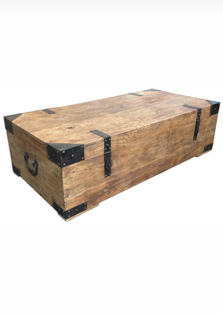 Elm and Iron Trunk