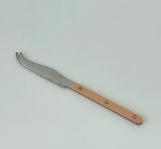 Remy Stainless Steel Cheese Knife