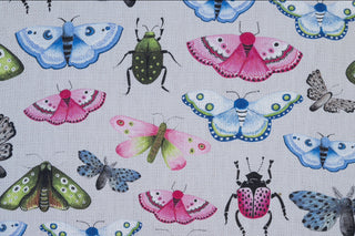 THE ADDY FABRIC COLLECTION | Entomology