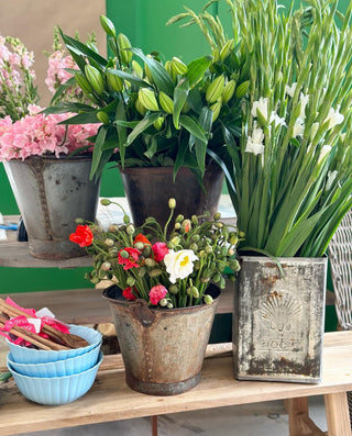 Fresh Flowers