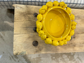 Bordeaux Old Door Coffee Table