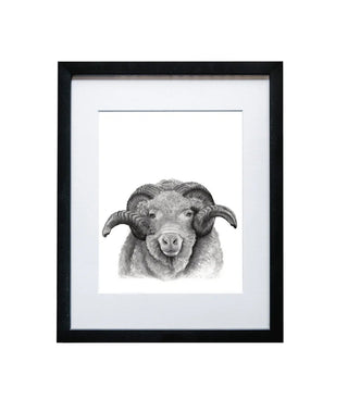 Ram Print - framed