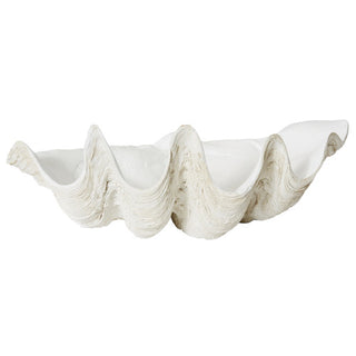 Clam Shell Sculpture
