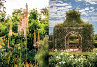 Paul Bangay - A Life In Garden Design