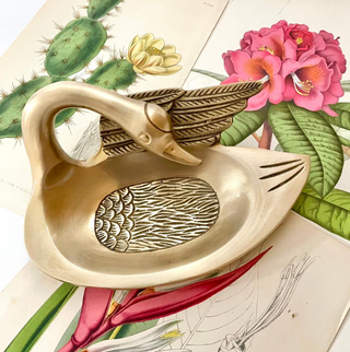 Exotico Cisnes Dish