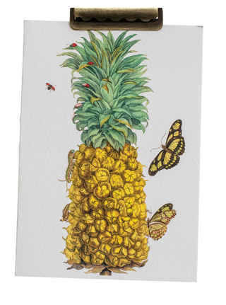 Maria Sibylla Botanical Card Set (Set of 10)