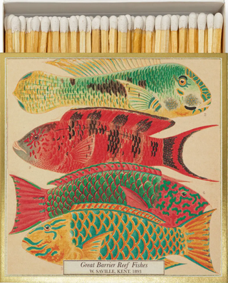 Fish Matches
