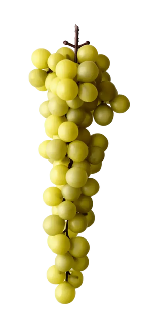 Grape Bunch