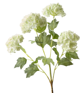 Light Green Snowball Spray