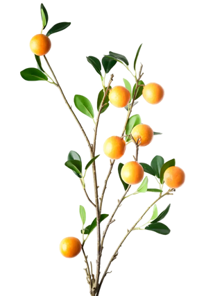 Orange Spray