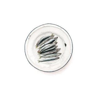 Sardines on a Plate - Sarah Smith