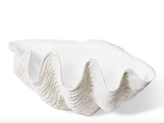 Extra Large Clam Shell Sculpture