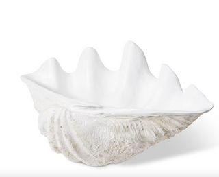 Extra Large Clam Shell Sculpture