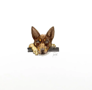 Brown Kelpie - Sarah Smith