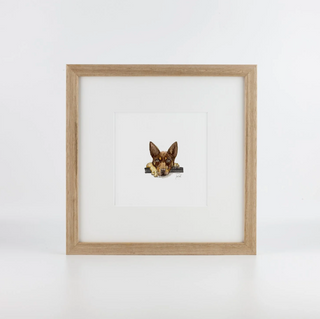 Brown Kelpie - Sarah Smith