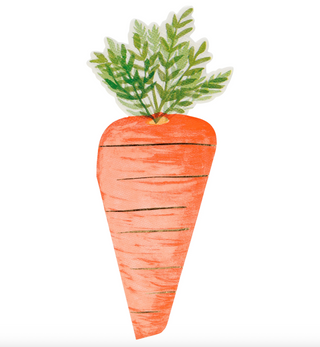 Carrot Napkins (Pack of 16)