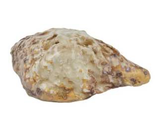 Ostrica Ceramic Dish