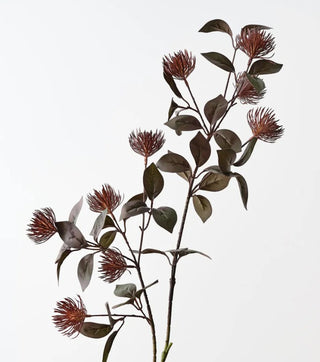 Leucospermum Protea Spray