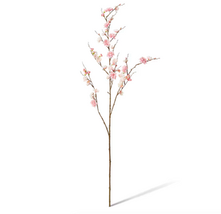 Plum Blossom Branch
