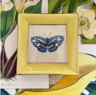 Yellow - Exotico Wall Plate Mariposa