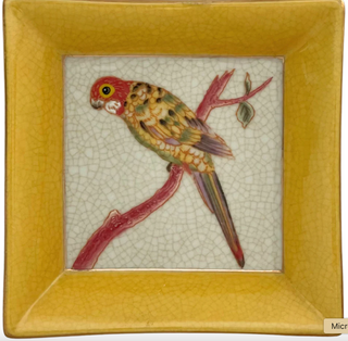 Ornithology Perroquet Wall Plate