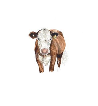 Cow - Sarah Smith