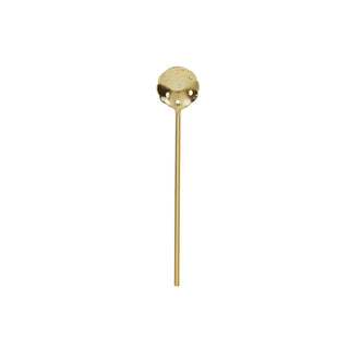 Gold Steel Spoon